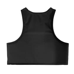 BALCS Armor Back Panel