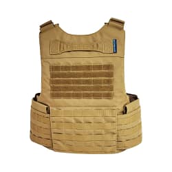 Chaos BALCS MVP Carrier