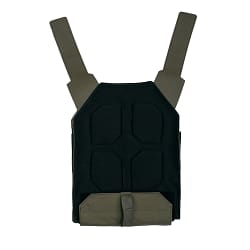 Leap Carrier Rear Plate Bag